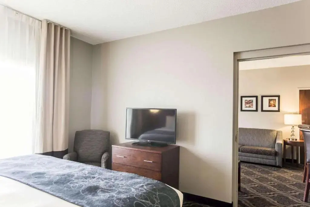 Comfort Suites Pineville - Ballantyne Area - Chambres