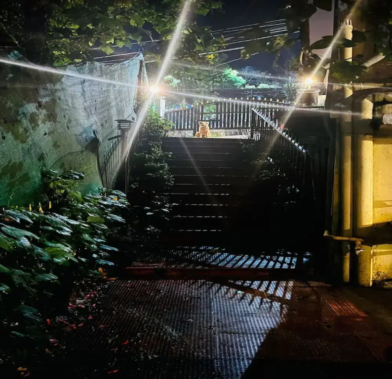 Hotel photo 35