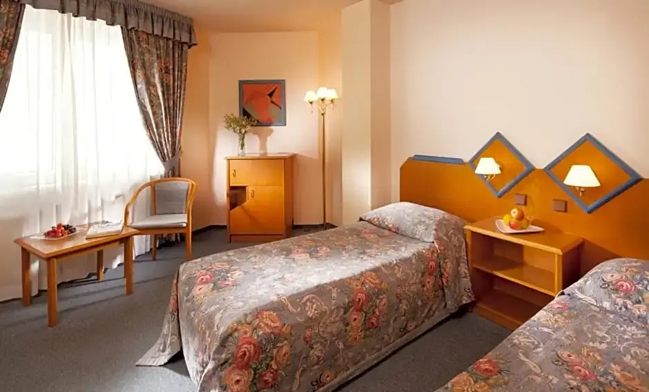 Hotel Concertino Zlatá Husa - Chambres