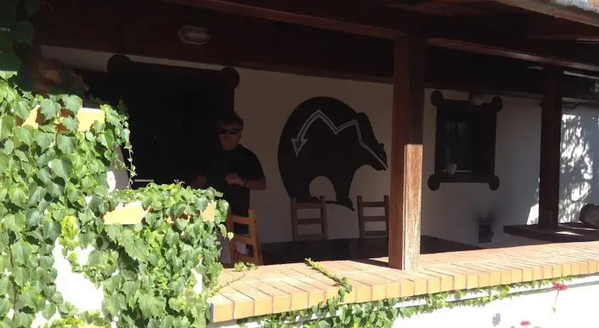 Lavender Szirák - фото 8