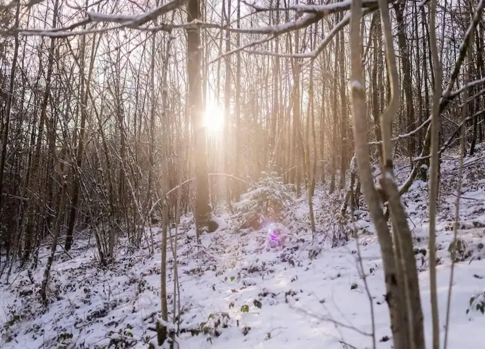 Capacious Holiday Home in Membre With Garden - фото 3