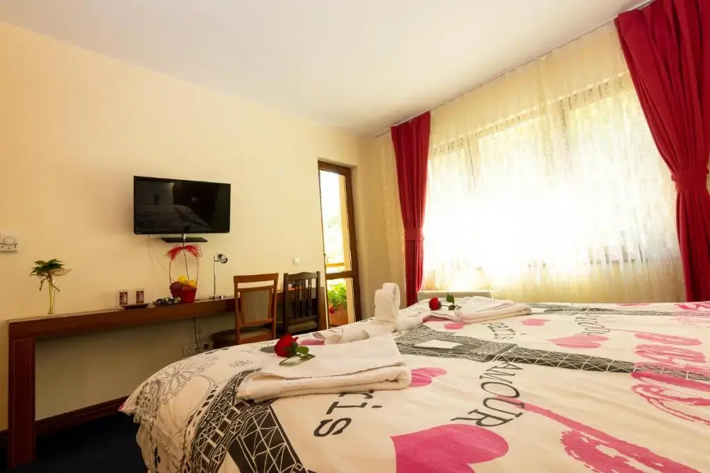 Hotel Saint Nedelya - Chambres