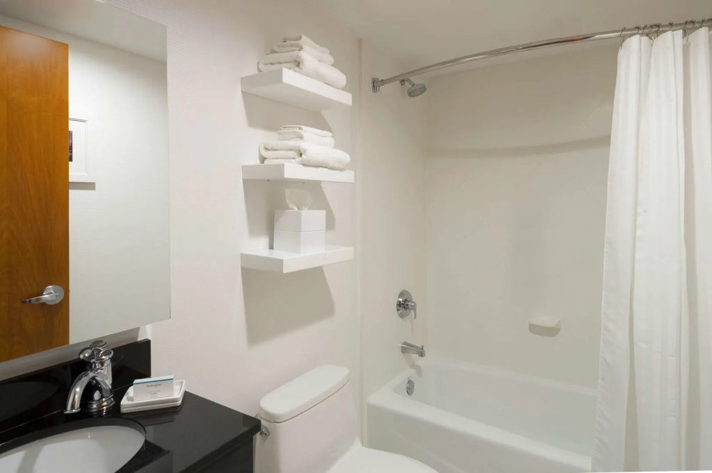 Hampton Inn Madison Square Garden Area Hotel - Général