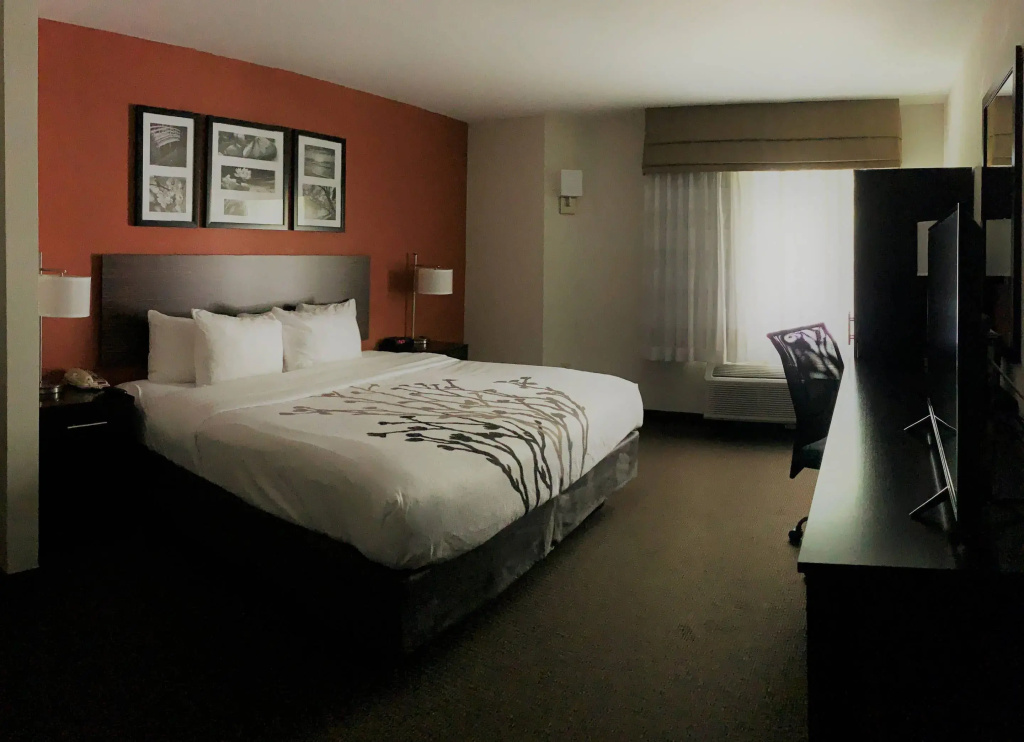 Standard Double room (full double bed)