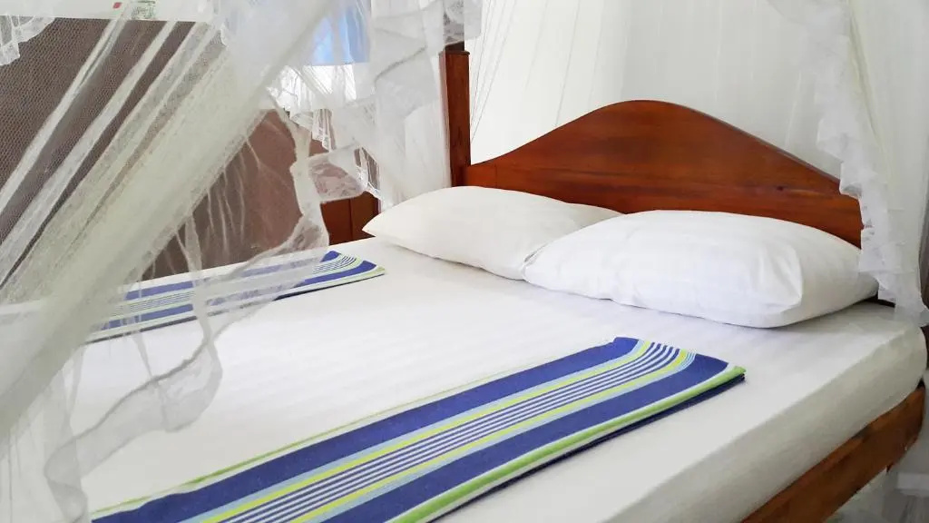 Standard Double room with garden view (full double bed)