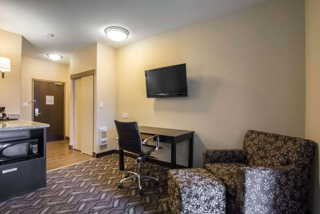 Comfort Inn & Suites - фото 19