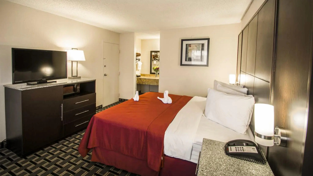 Standard Double room (full double bed)