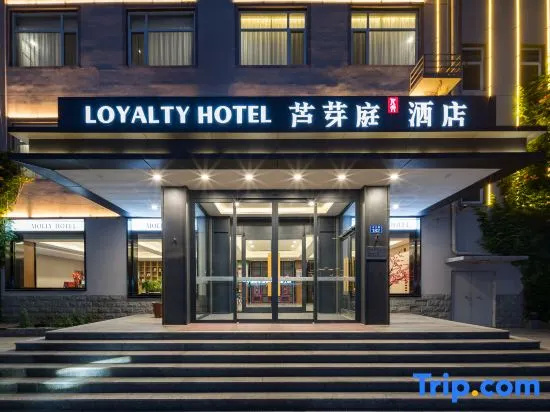 Luyating Hotel (Xiong'an New District Baiyangdian Station)