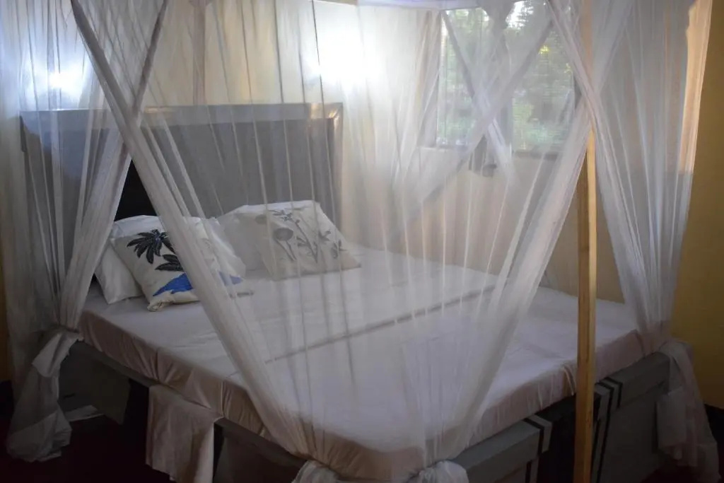 Juani beach bungalows - Chambres
