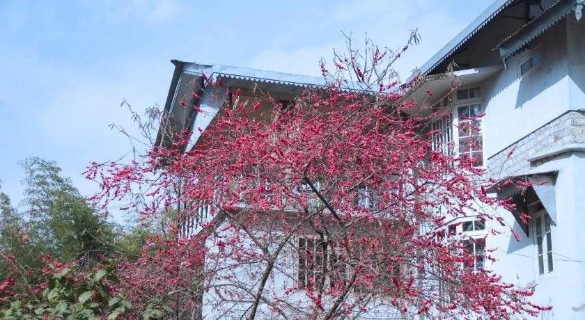 The Mazong Hotel