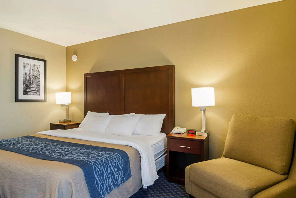 Comfort Inn & Suites Sea-Tac Airport - Général