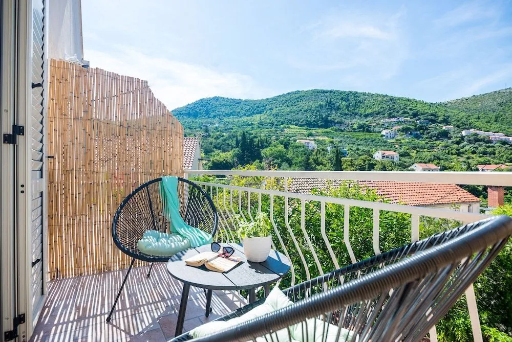 Apartment & Rooms Duja