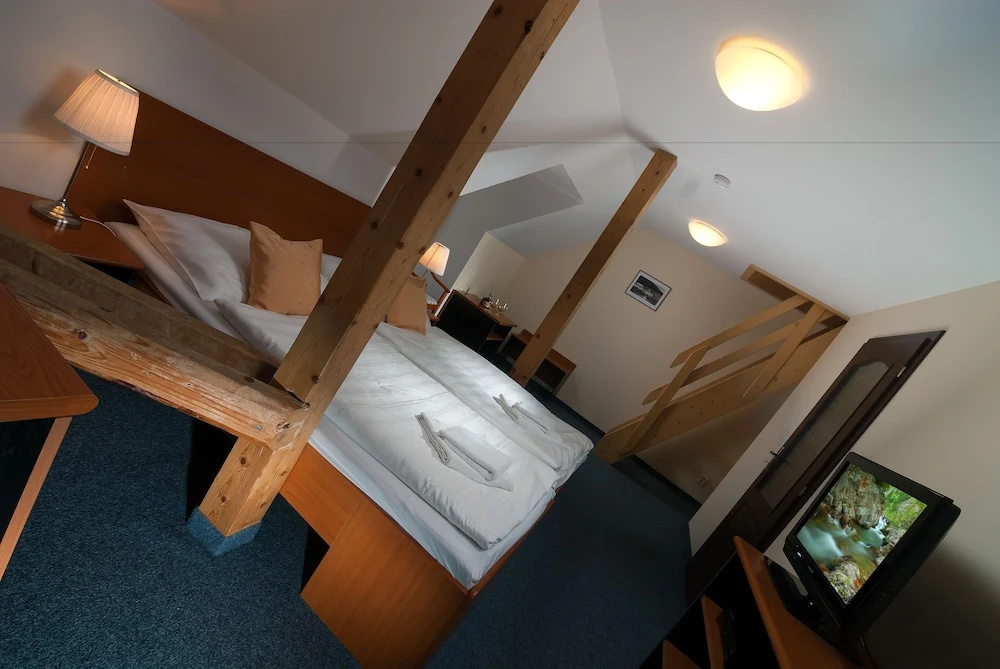 Hotel Domovina - Chambres