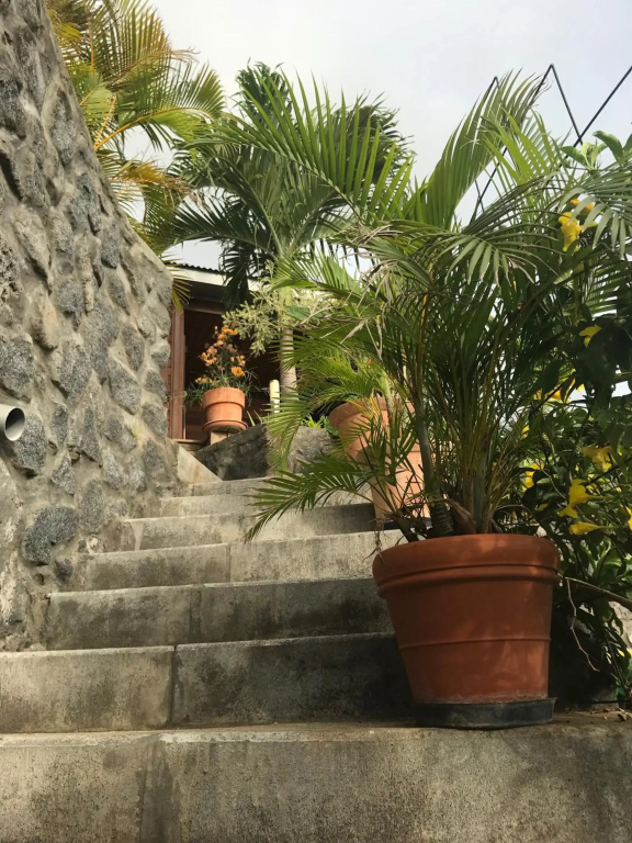 Hotel photo 50