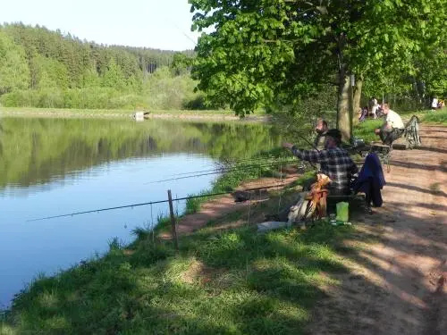 CAMP Dolce
