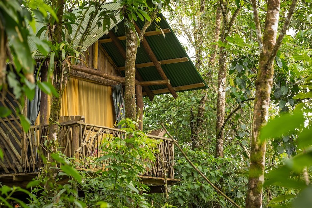 La Tigra Rainforest Lodge, La Fortuna Image 12
