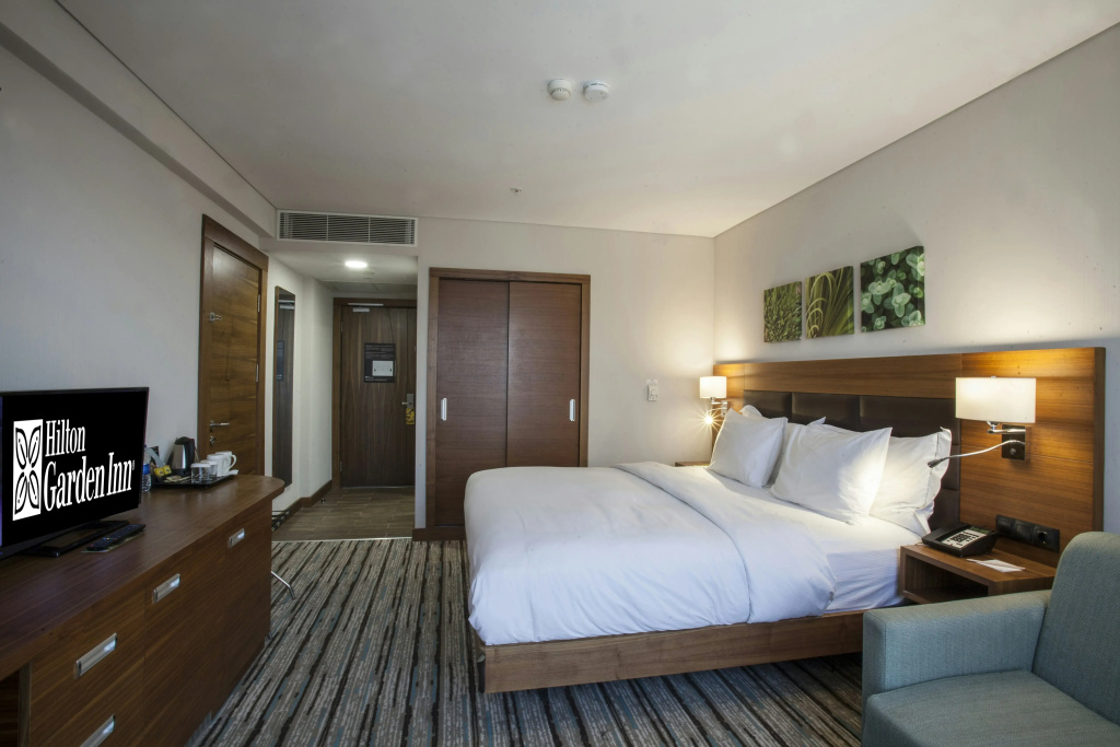 Hilton Garden Inn Ankara Gimat - Général