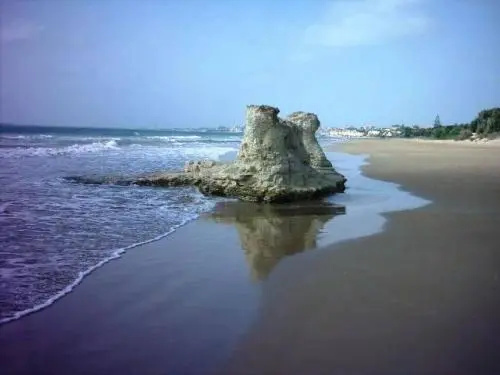 images