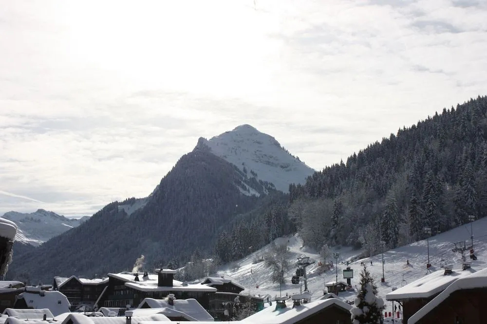Hotel Igloo - Général