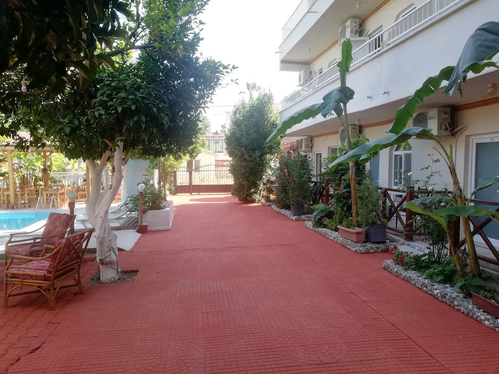Image 15