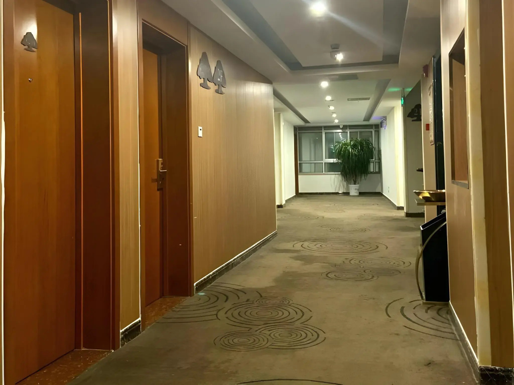 GreenTree Inn Linxi Pingyi MenGYAng Road Express Hotel - Général