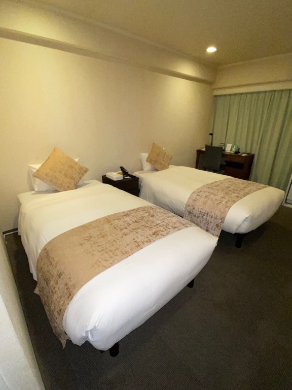 Roppongi Plaza Hotel 사진 2