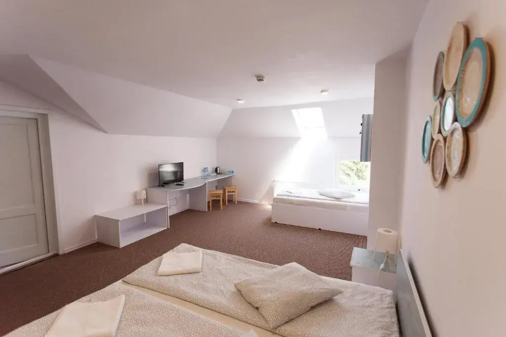 Deluxe Family room