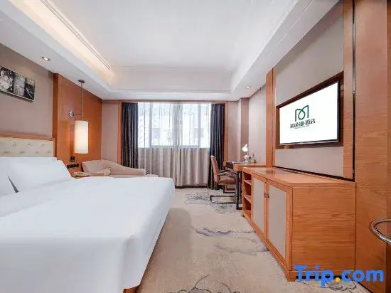 Jin-Tone 101 Hotel Nanning - Chambres
