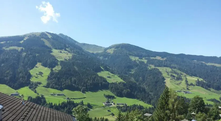 Alpbach 646