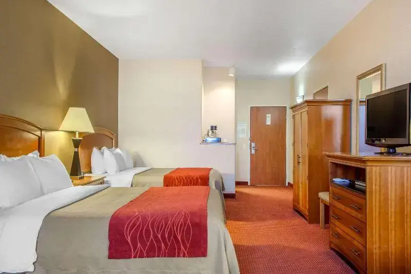 Comfort Inn & Suites I-25 Near Spaceport America - Chambres