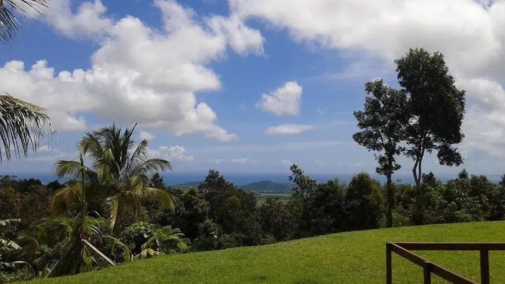 Serenity Rainforest Retreat