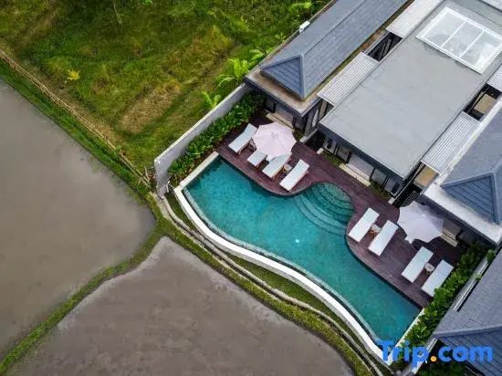 Villa Tenang – Modern 4BR, Private Pool, Ubud