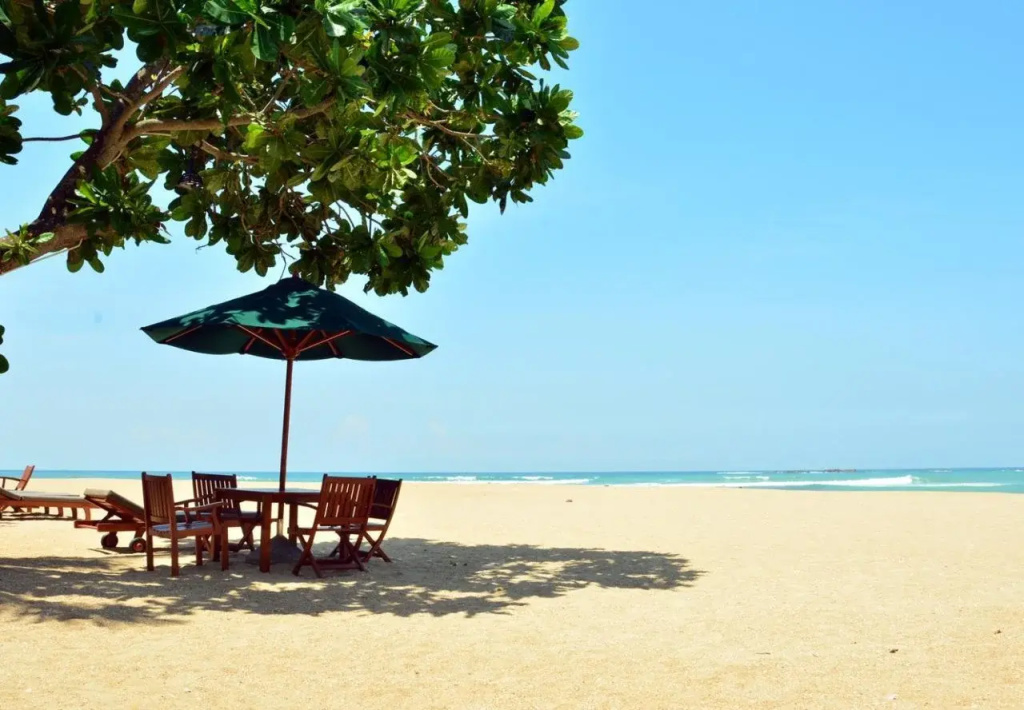 Beach & Waterfront