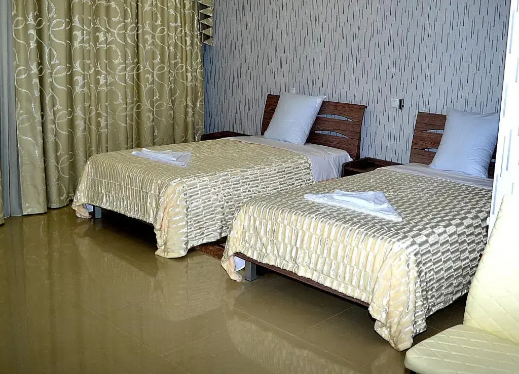 Deluxe Double room with balcony and with view twin beds