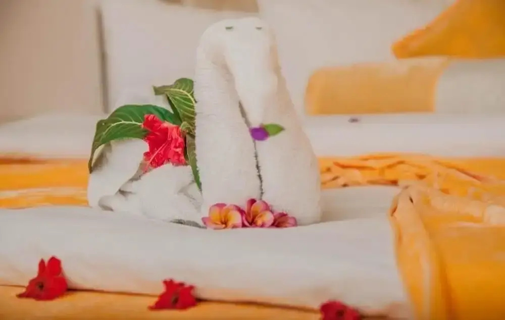 Dreams Hotel Zanzibar - Général