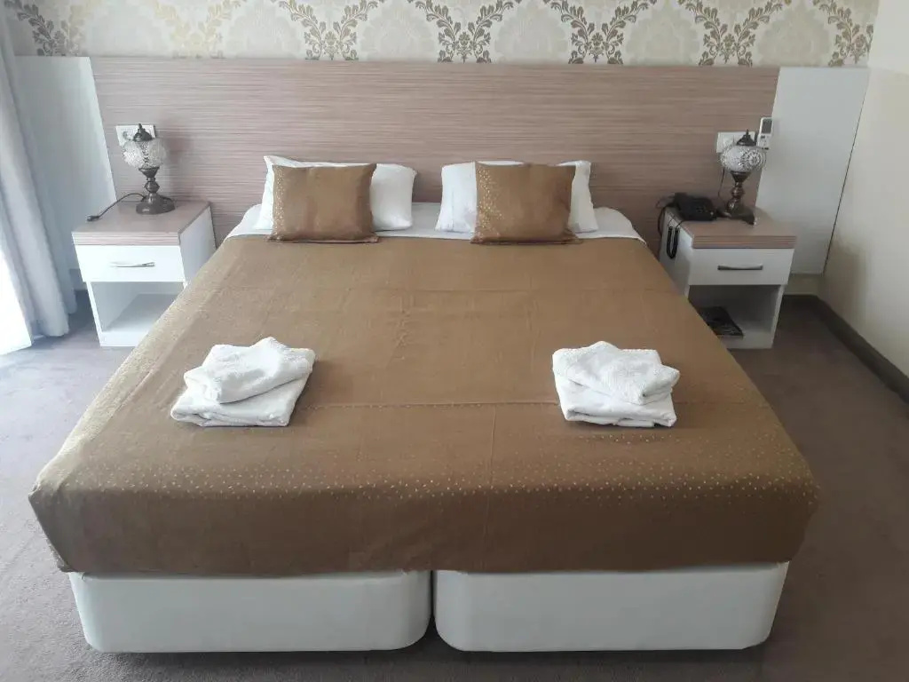 Large Double room (full double bed)