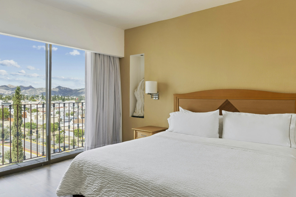 Fiesta Inn Express Chihuahua - Général