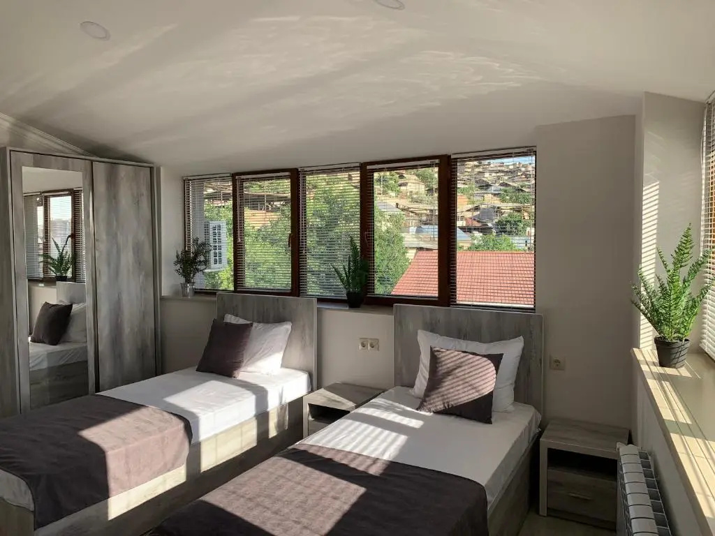 Deluxe Double room with city view (twin beds)