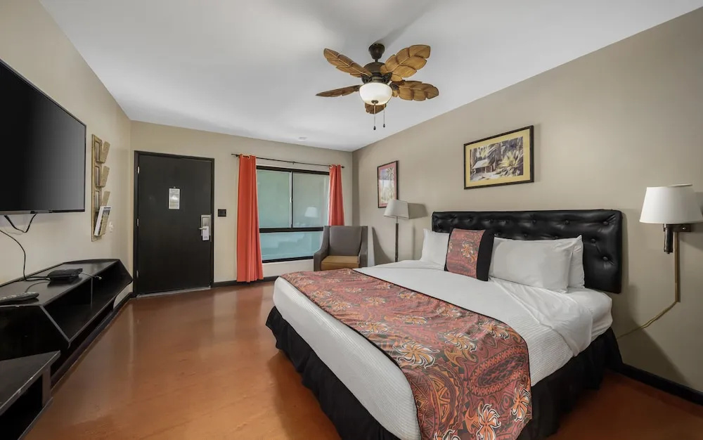 Caliente Tropics Hotel - Chambres