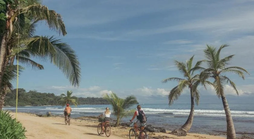 Stay Bocas - Général