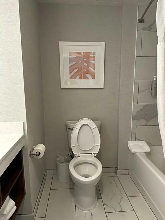 Hampton Inn Virginia Beach-Oceanfront South - Chambres