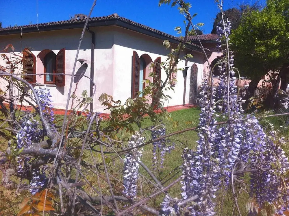 Town & Country Guest House B&B
