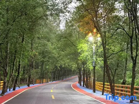 Sanqing Mountain Retreat Homestay (Gangshou Cable Car Store)