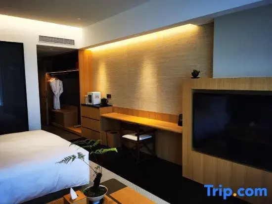 Standard Double room with city view (full double bed)