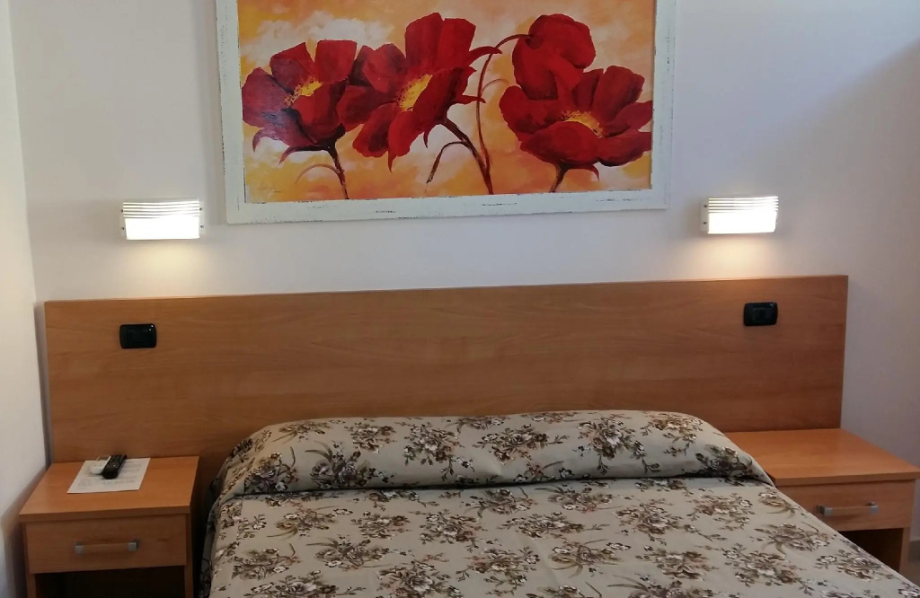 Standard Double room (full double bed)