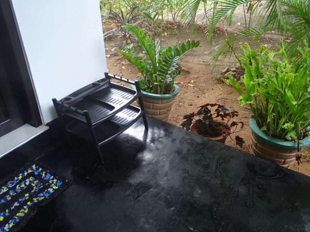 Sigiriya Rest House