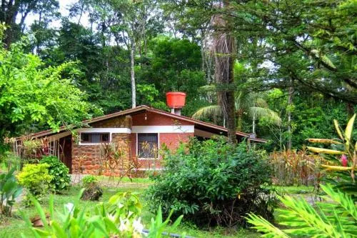 Hotel De Selva El Puente