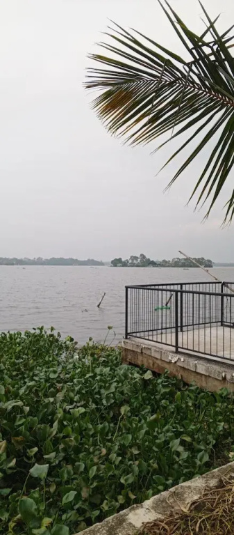 Amani Lakeside