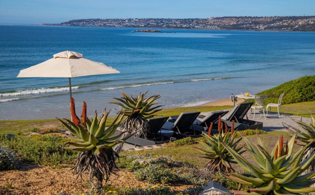African Oceans Manor on the Beach - фото 23