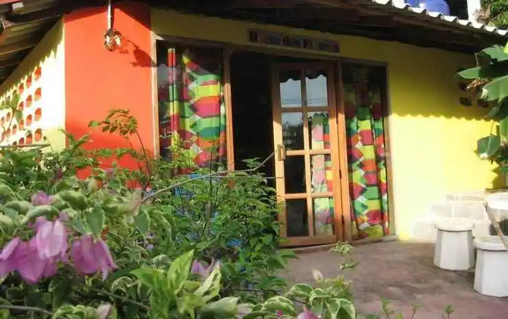 Dorm Des Fleurs Hostel